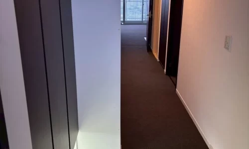 マンションの高級賃貸仕様へのリフォームの廊下の写真